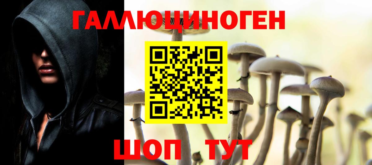 Миасс  Псилоцибиновые грибы MAGIC MUSHROOMS  Вход с VPN  Галлюциногенные грибы GOLDEN TEACHER 